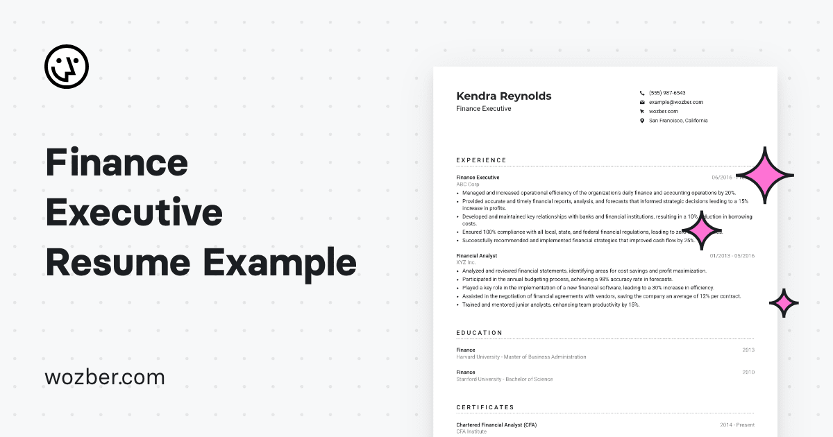 Finance Executive Resume Example