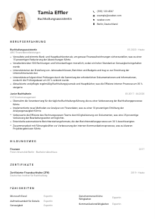 Lebenslauf-Muster für Buchhaltungsassistent*in