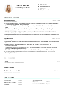 Lebenslauf-Vorlage für Buchhaltungsassistent*in #3