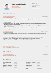 Lebenslauf-Vorlage für Assistent*in des Bilanzbuchhalters #3