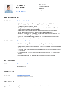 Lebenslauf-Vorlage für Assistent*in des Bilanzbuchhalters #1