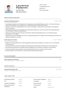 Lebenslauf-Vorlage für Assistent*in des Bilanzbuchhalters #2