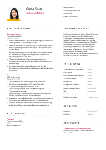 Lebenslauf-Vorlage für Rechnungssteller*in #2
