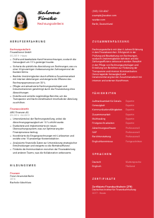 Lebenslauf-Vorlage für Rechnungssteller*in #3