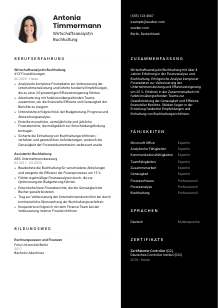 Lebenslauf-Vorlage für Wirtschaftsanalyst*in Buchhaltung #3