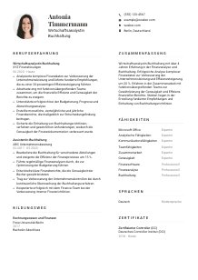 Lebenslauf-Vorlage für Wirtschaftsanalyst*in Buchhaltung #1