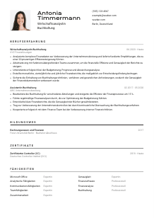Lebenslauf-Vorlage für Wirtschaftsanalyst*in Buchhaltung #2