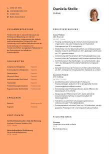 Lebenslauf-Vorlage für Prüfer*in #3