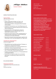 Lebenslauf-Vorlage für Externe*r Prüfer*in #3