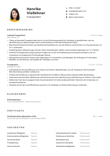 Lebenslauf-Muster für Finanzprüfer*in