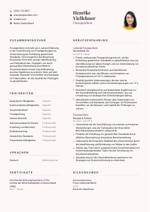 Lebenslauf-Vorlage für Finanzprüfer*in #3
