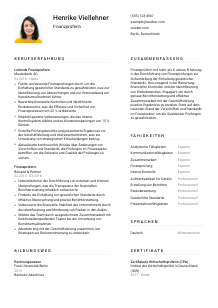 Lebenslauf-Vorlage für Finanzprüfer*in #1