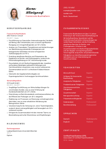 Lebenslauf-Vorlage für Forensische*r Buchhalter*in #3