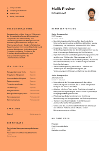 Lebenslauf-Vorlage für Betrugsanalyst*in #3