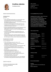 Lebenslauf-Vorlage für Kreditabwickler*in #3