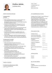 Lebenslauf-Vorlage für Kreditabwickler*in #1