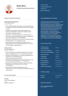 Lebenslauf-Vorlage für Unternehmensfinanzanalyst*in #2