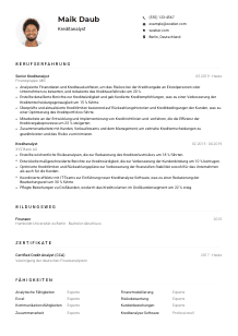 Lebenslauf-Muster für Kreditanalyst*in