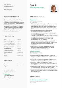 Lebenslauf-Vorlage für Finanzgeschäftsanalyst*in #2