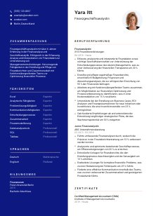 Lebenslauf-Vorlage für Finanzgeschäftsanalyst*in #3