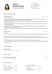 Lebenslauf-Muster für Finanzsachbearbeiter*in