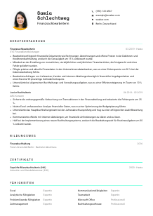Lebenslauf-Vorlage für Finanzsachbearbeiter*in #3