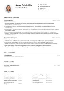 Lebenslauf-Muster für Finanzkoordinator*in