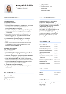 Lebenslauf-Vorlage für Finanzkoordinator*in #2
