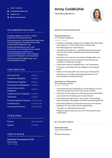 Lebenslauf-Vorlage für Finanzkoordinator*in #3