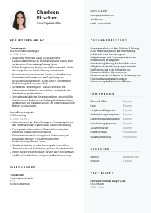 Lebenslauf-Vorlage für Finanzspezialist*in #2