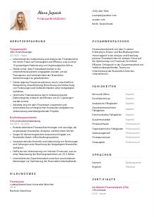 Lebenslauf-Vorlage für Finanzunterstützer*in #2