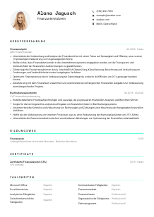 Lebenslauf-Vorlage für Finanzunterstützer*in #3