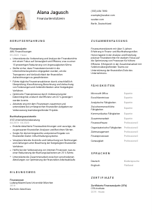 Lebenslauf-Vorlage für Finanzunterstützer*in #1