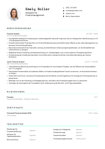 Lebenslauf-Vorlage für Analyst*in für Finanzmanagement #3