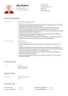 Lebenslauf-Vorlage für Spezialist*in für Finanzmanagement #1