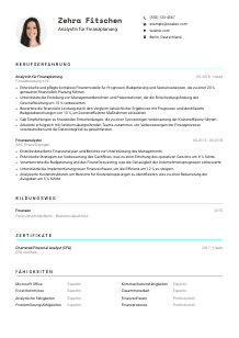 Lebenslauf-Vorlage für Analyst*in für Finanzplanung #3