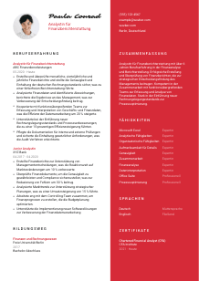 Lebenslauf-Vorlage für Analyst*in für Finanzberichterstattung #3