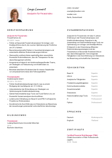Lebenslauf-Vorlage für Analyst*in für Finanzrisiko #2