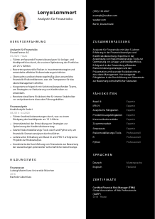 Lebenslauf-Vorlage für Analyst*in für Finanzrisiko #3