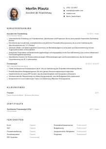 Lebenslauf-Muster für Assistent*in der Finanzleitung