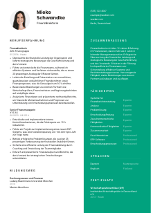 Lebenslauf-Vorlage für Finanzdirektor*in #2
