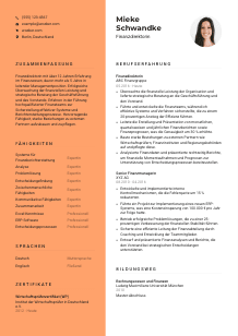 Lebenslauf-Vorlage für Finanzdirektor*in #3