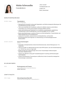 Lebenslauf-Vorlage für Finanzdirektor*in #1