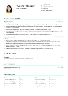 Lebenslauf-Vorlage für Finanzmanager*in #3