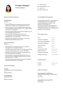 Lebenslauf-Vorlage für Finanzmanager*in #1