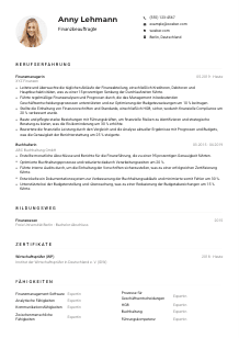 Lebenslauf-Muster für Finanzbeauftragte*r