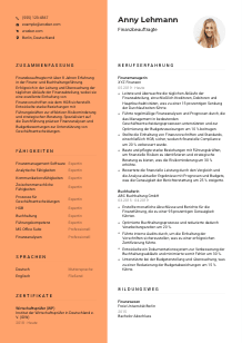 Lebenslauf-Vorlage für Finanzbeauftragte*r #3