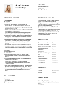 Lebenslauf-Vorlage für Finanzbeauftragte*r #1