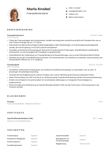 Lebenslauf-Muster für Finanzadministrator*in