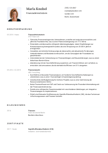 Lebenslauf-Vorlage für Finanzadministrator*in #1